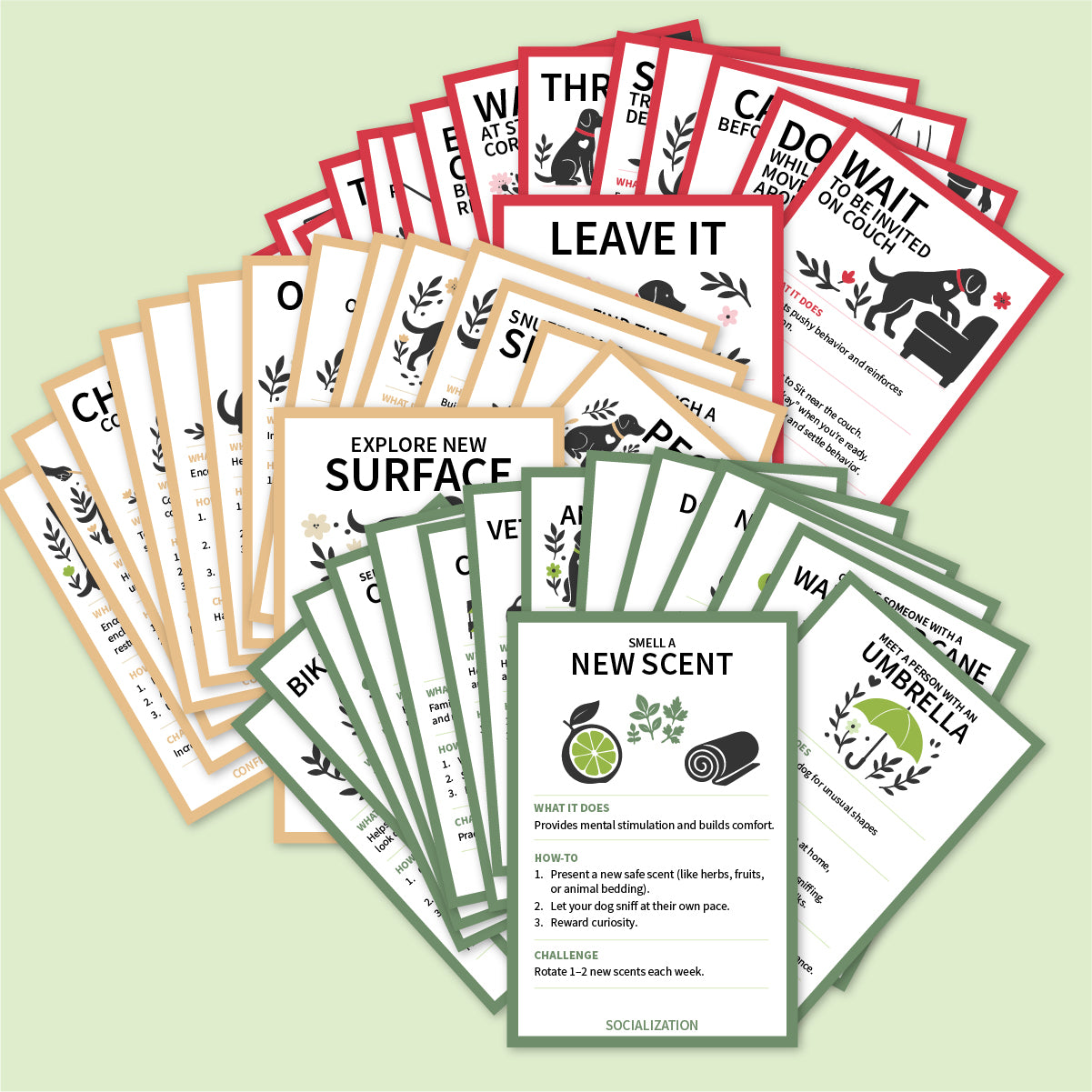 Array of 3 sets of color coded dog training cards.
