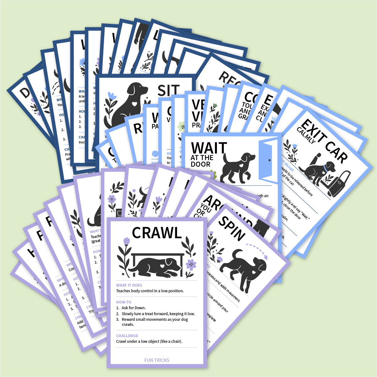 Array of 3 sets of color coded dog training cards.