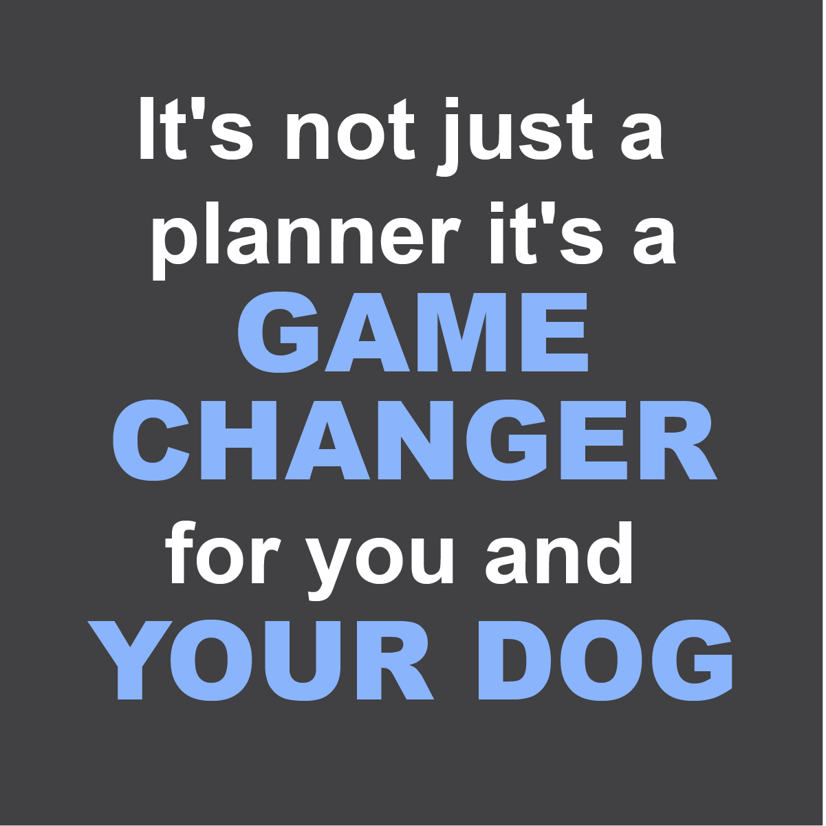 Text on a dark background promoting a product as a 'game changer' for users and their dogs.