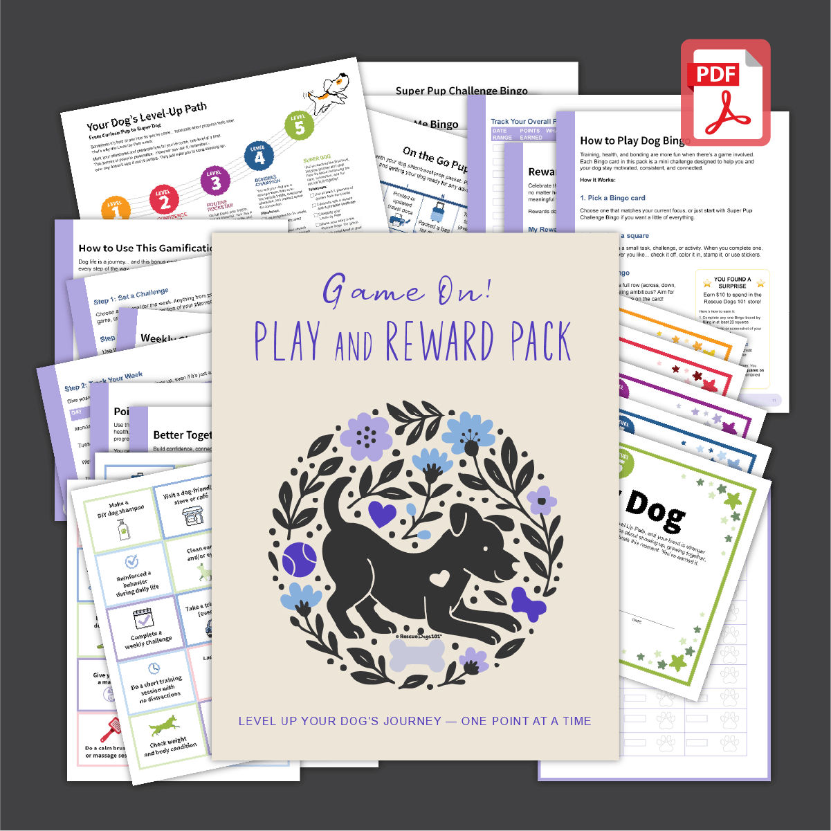 Game On! Play + Reward Pack (Interactive PDF).