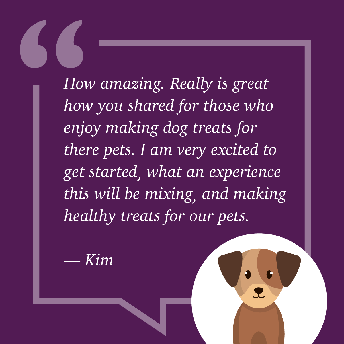 Homemade Frozen Dog Treat Printable Recipe Book