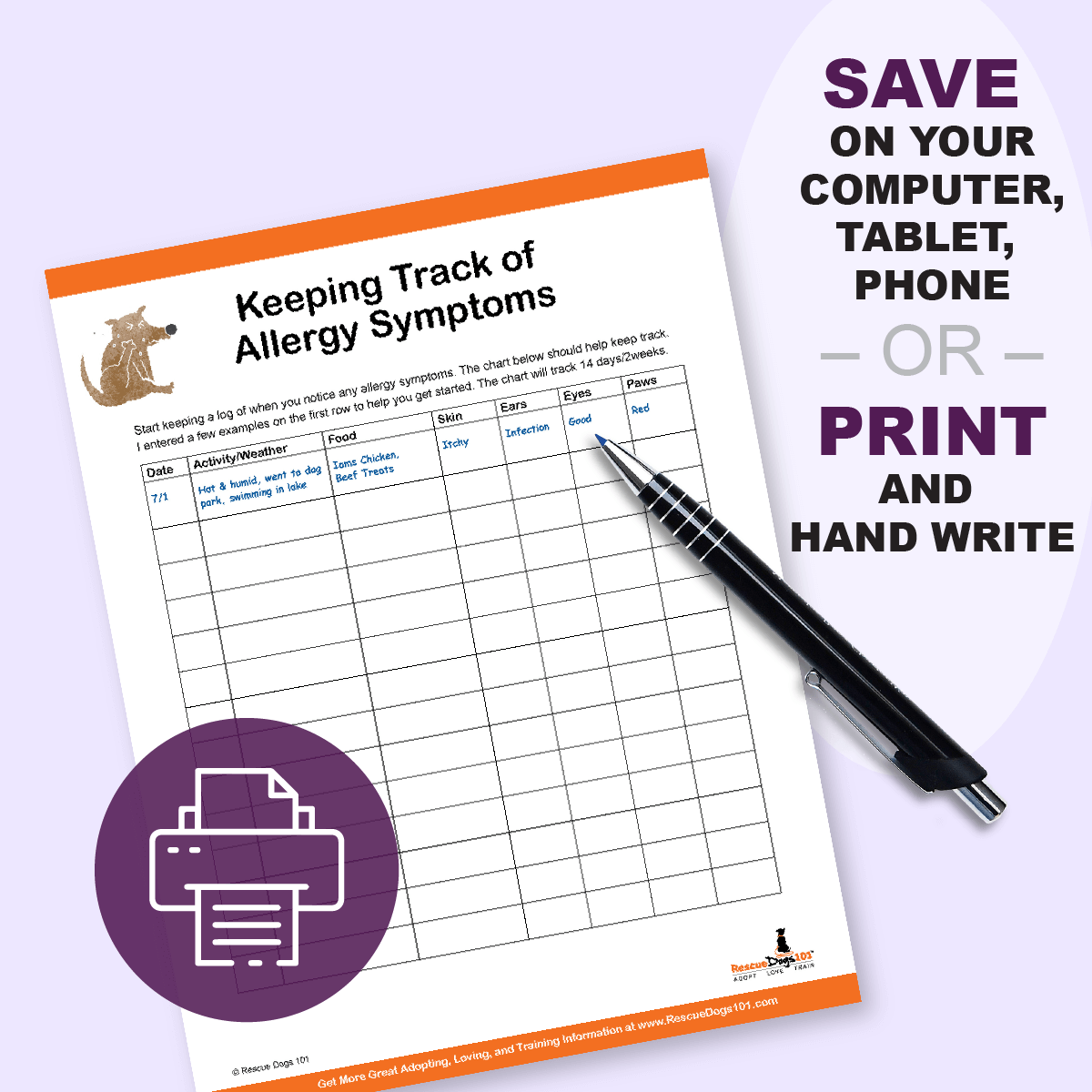 Dog Allergy Symptom Tracking Chart