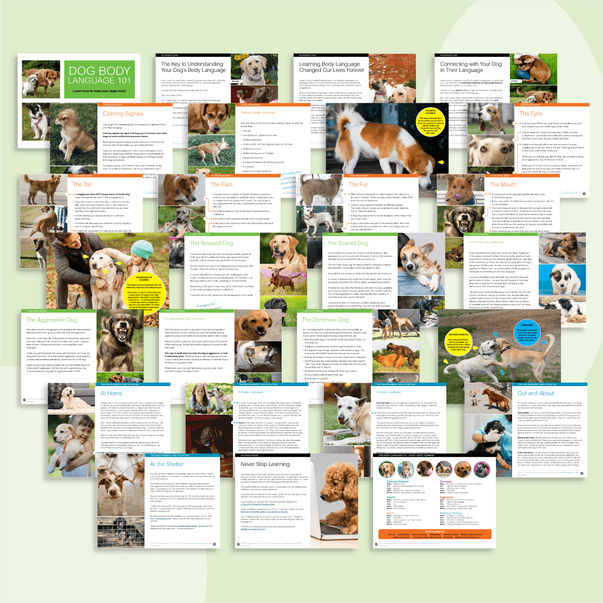 27 pages of the dog body language 101 guide