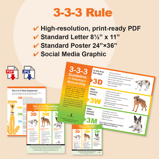 3-3-3 rule graphics with photos of dogs and explanation,