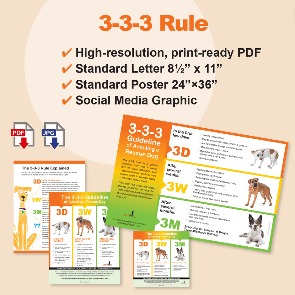 Products – Rescue Dogs 101