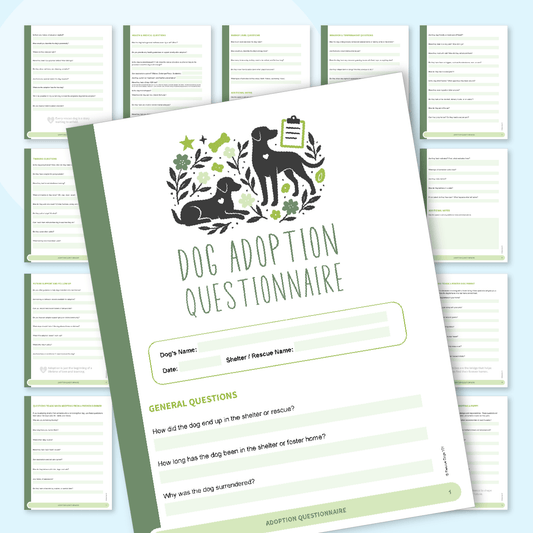 Dog Adoption Questionnaire