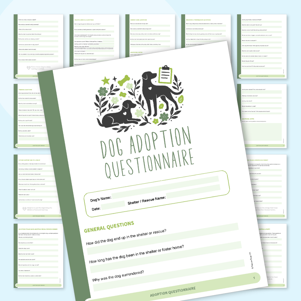 Dog Adoption Questionnaire – Rescue Dogs 101