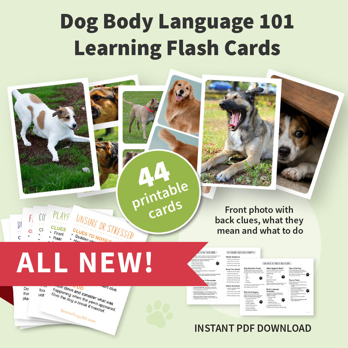Promotional graphic for 'Dog Body Language 101 Learning Flash Cards' showing sample flash card pages, several dog photos, a green circle that says '44 printable cards,' a red banner reading 'ALL NEW!,' and text indicating an instant PDF download.