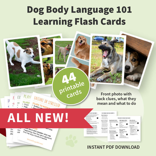 Promotional graphic for 'Dog Body Language 101 Learning Flash Cards' showing sample flash card pages, several dog photos, a green circle that says '44 printable cards,' a red banner reading 'ALL NEW!,' and text indicating an instant PDF download.