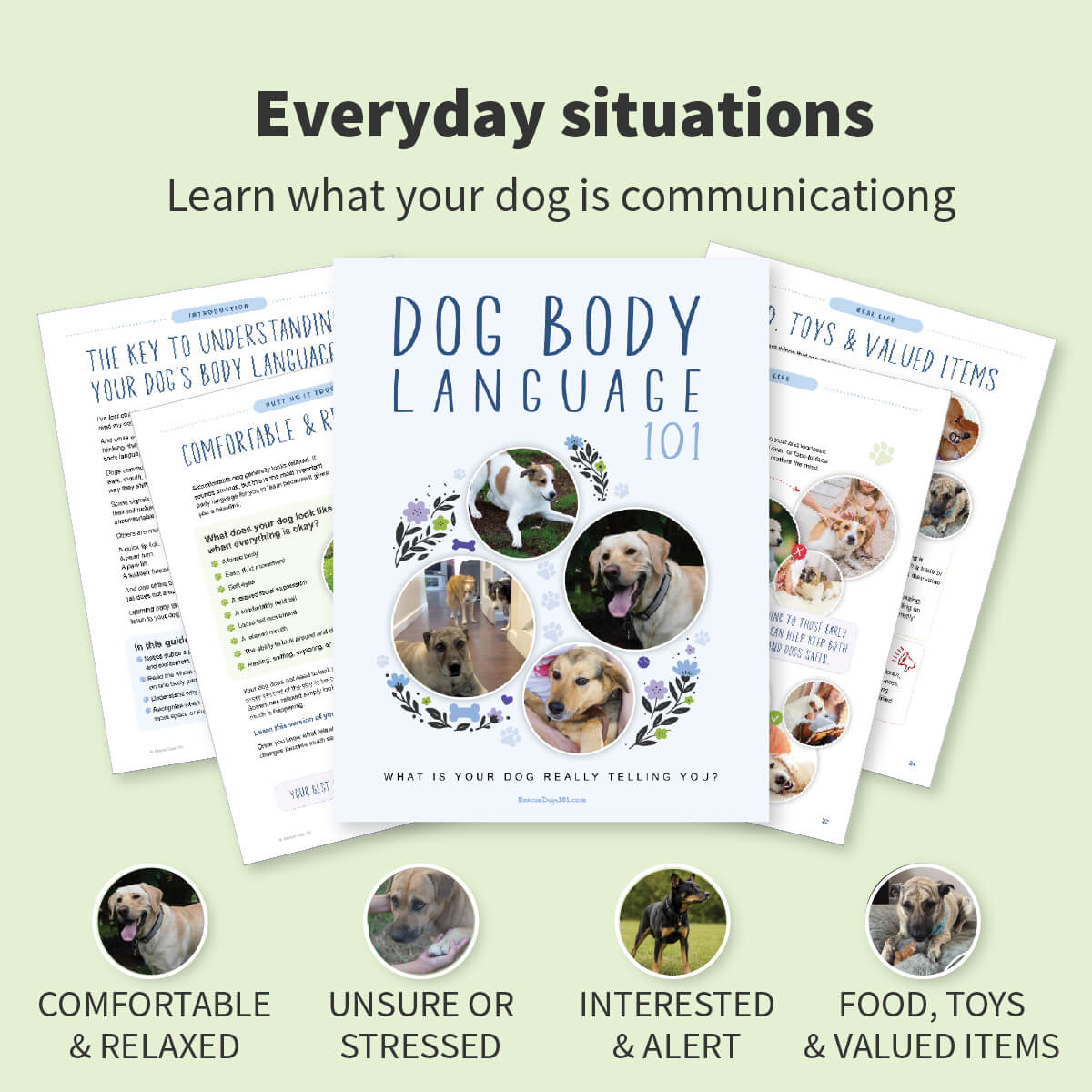 A book cover titled "Dog Body Language 101" is centered on a pale green background, with three overlapping printed pages fanned behind it. The cover shows circular dog photos and decorative blue text.