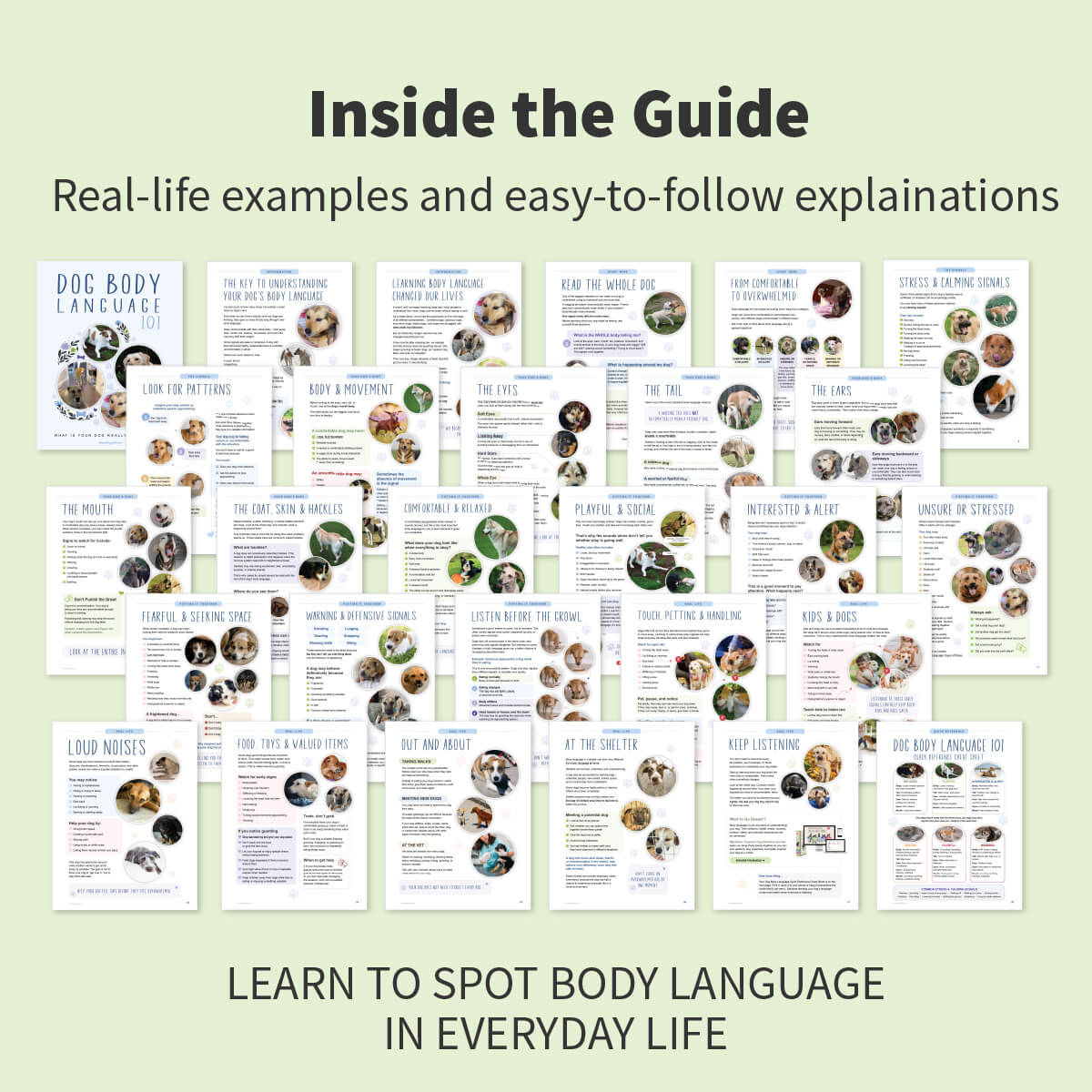 A promotional graphic for a guide titled 'Inside the Guide' about body language, showing a collage of printed worksheet or booklet pages arranged on a pale green background with headline text above and below.