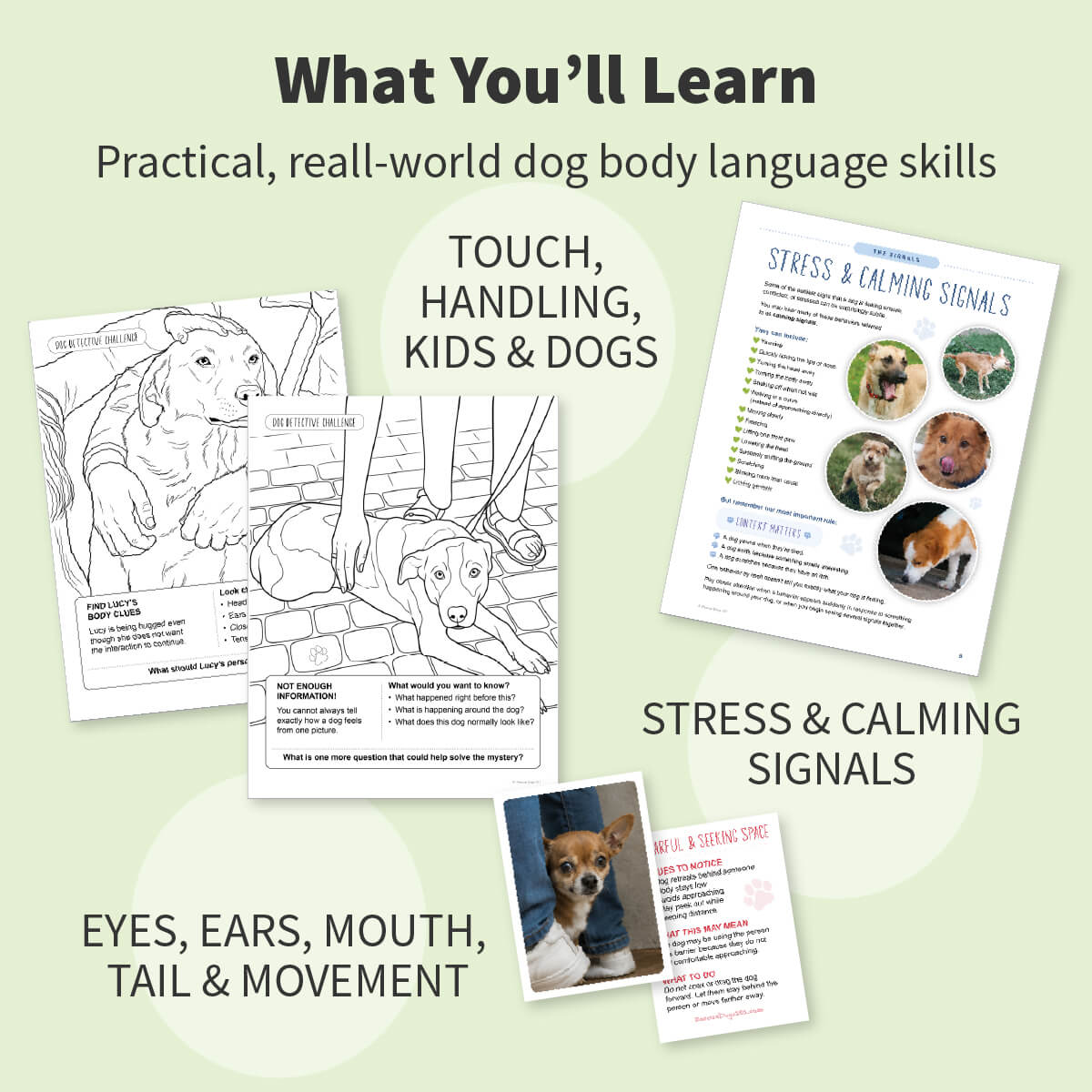 Promotional graphic for a dog body language learning kit, showing several printed pages and cards with dog-related illustrations and text such as 'What You'll Learn,' 'Touch, Handling, Kids & Dogs,' 'Stress & Calming Signals,' and 'Eyes, Ears, Mouth, Tail & Movement.' No person or real environment is the main subject; this is a clean composite product preview on a pale green background.