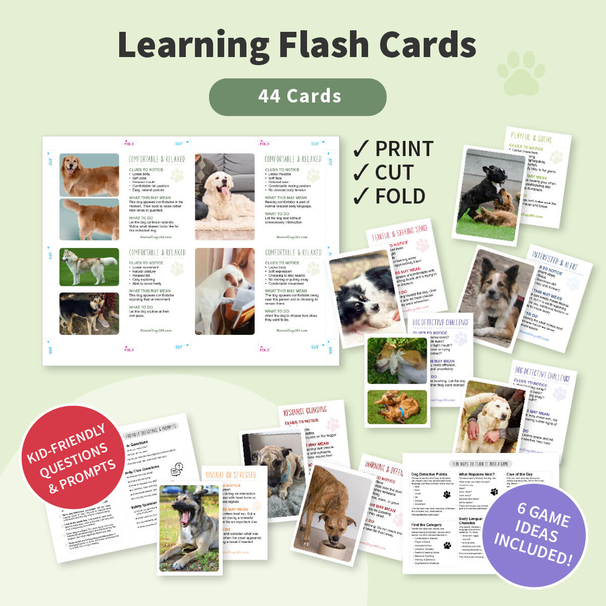 Promotional graphic for a set of dog learning flash cards, showing the title 'Learning Flash Cards' and '44 Cards' on a pale green background. Several sample card layouts are displayed, with dog photos, text blocks, and promotional badges reading 'kid-friendly questions & prompts' and '6 game ideas included!'.