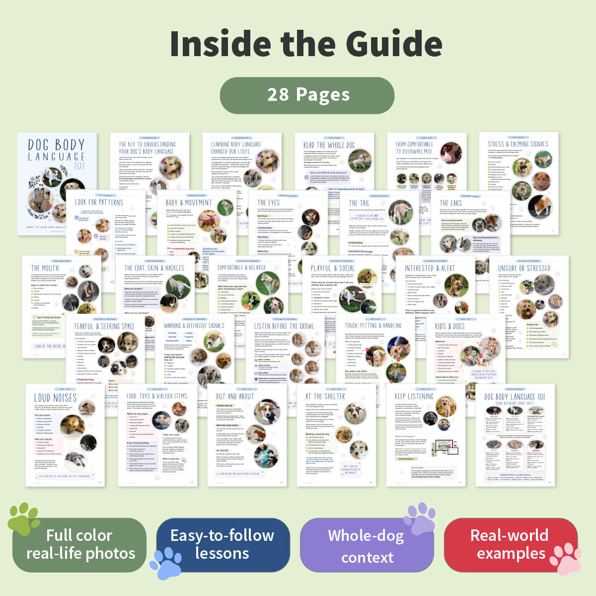 Promotional graphic for a digital guide titled 'Inside the Guide' with '28 Pages' shown in a green pill shape. The center displays a collage of sample lesson pages from a dog training or anatomy learning resource.