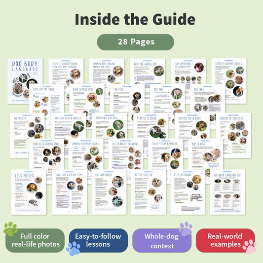 Promotional graphic for a digital guide titled 'Inside the Guide' with '28 Pages' shown in a green pill shape. The center displays a collage of sample lesson pages from a dog training or anatomy learning resource.