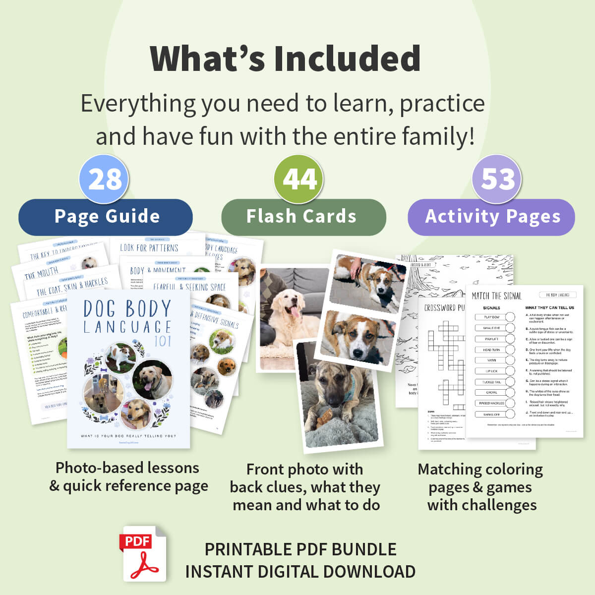 An infographic titled 'What's Included' for a printable PDF bundle about dog body language. It shows three labeled sections: a page guide with 28 pages, flash cards with 44, and activity pages with 53.