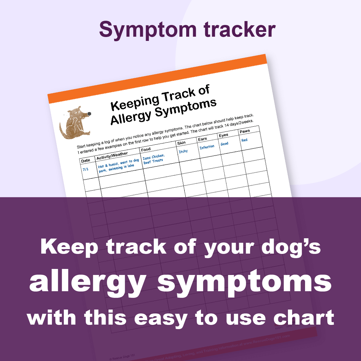 Keep track of dog's allergy symptoms chart