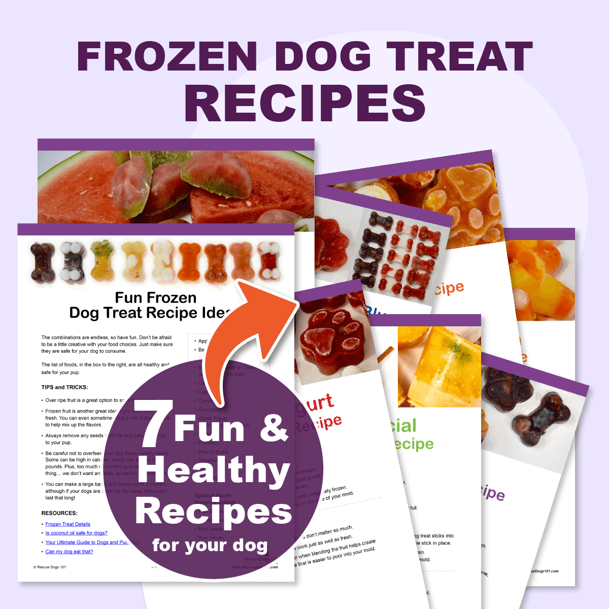 Homemade Frozen Dog Treat Printable Recipe Book – Rescue Dogs 101