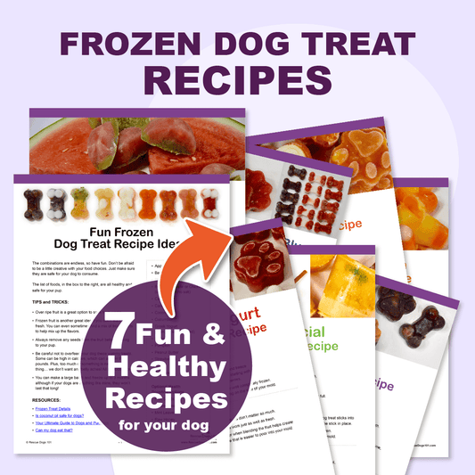 Homemade Frozen Dog Treat Printable Recipe Book