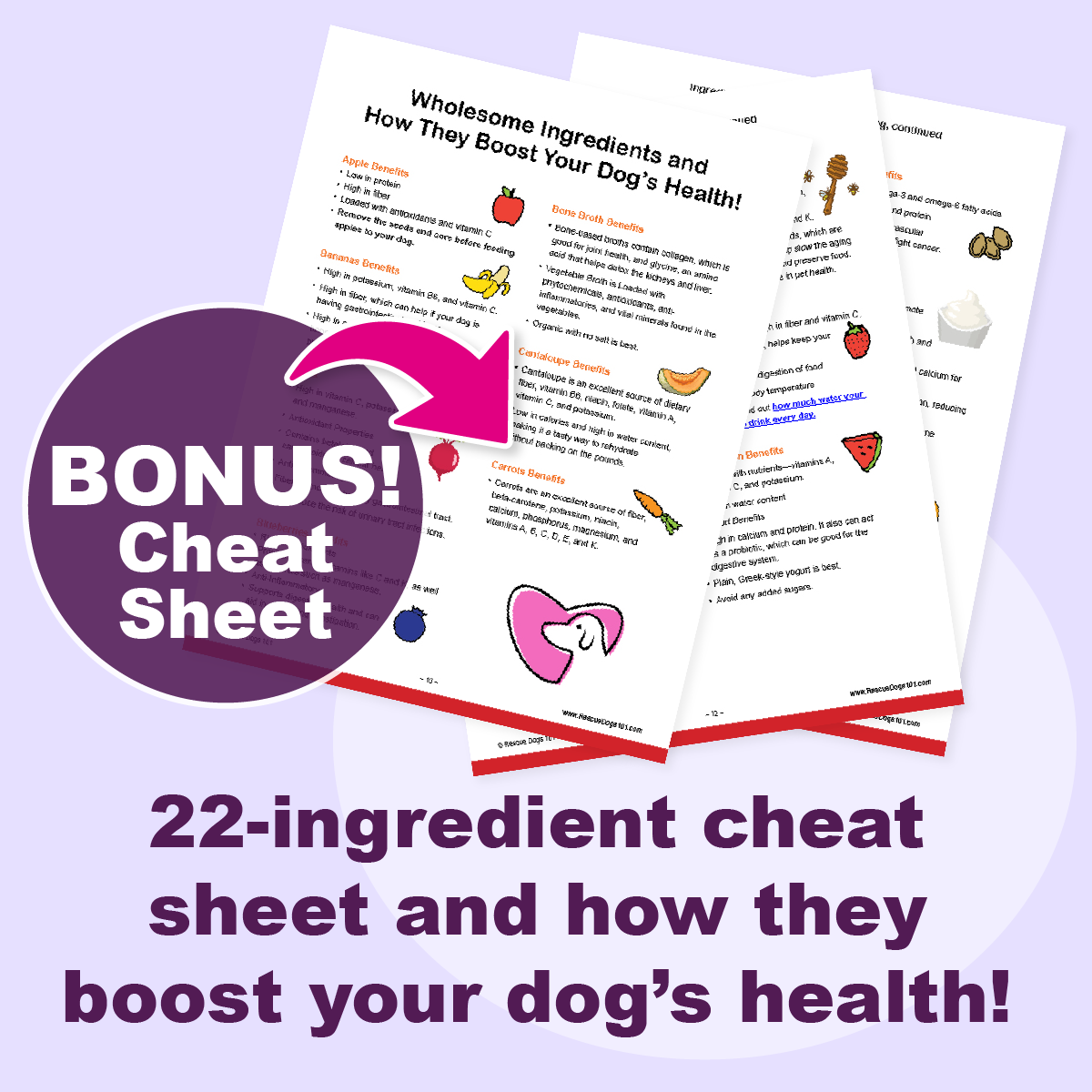 Cheat sheet showing ingredients that are healthy for dogs.
