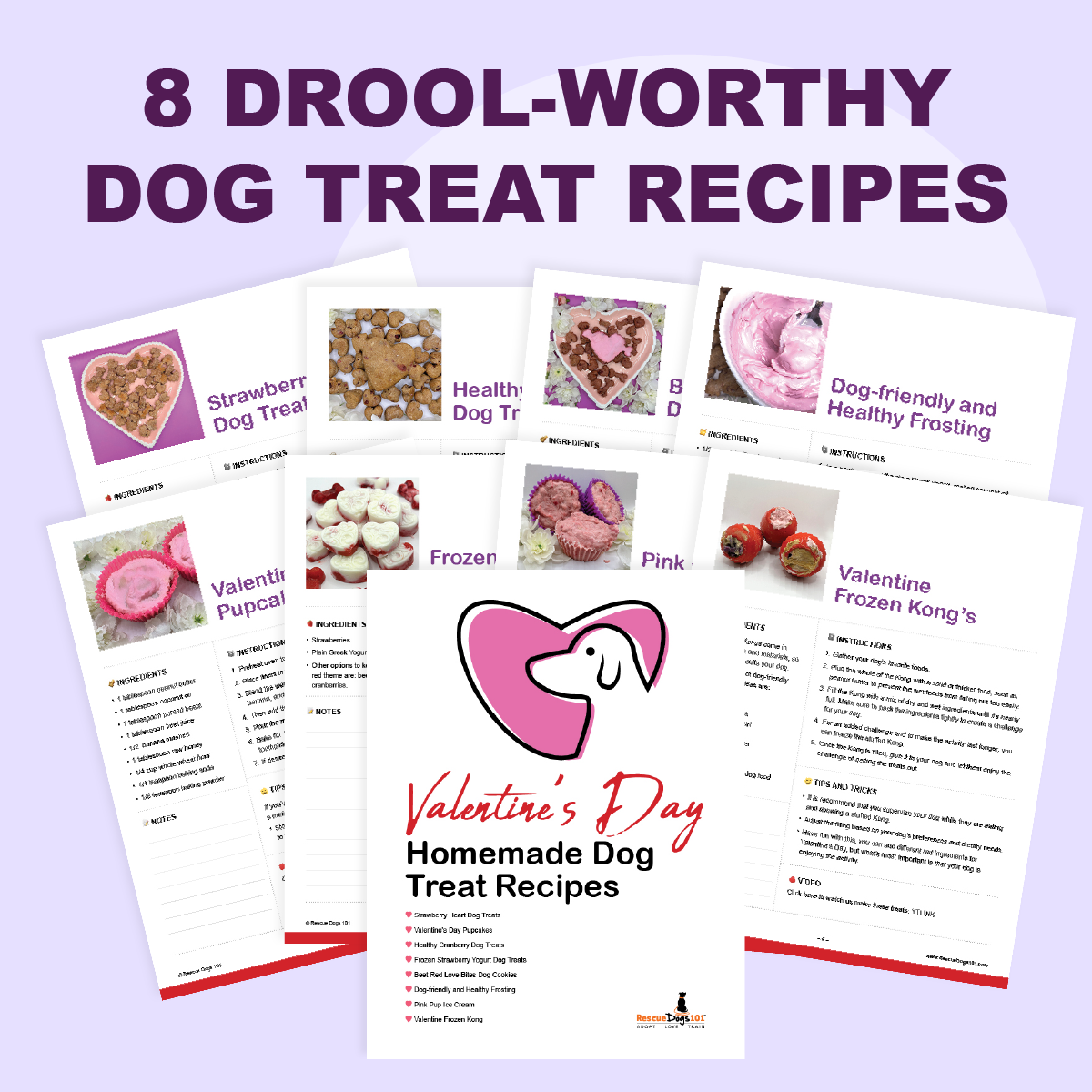 Homemade Pink and Red Dog Treat Recipe Pages.