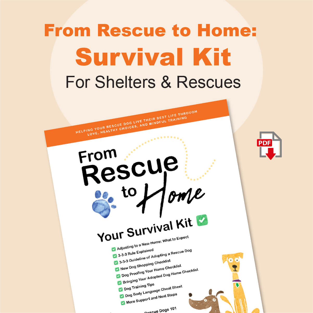 Survival kit for shelters and rescues with a PDF icon on a beige background