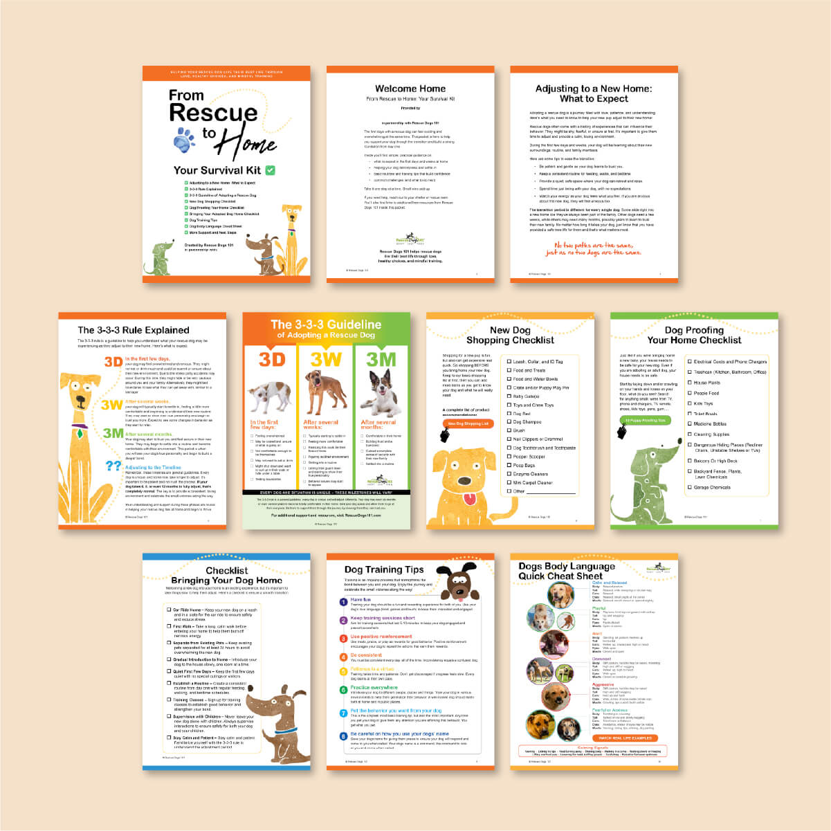 Collection of dog care informational brochures on a beige background