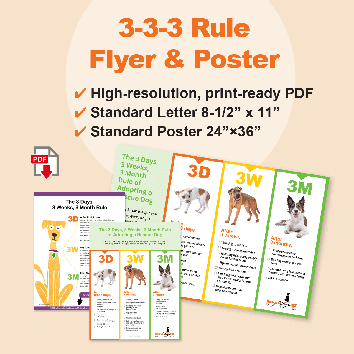 3-3-3 rule flyer and poster