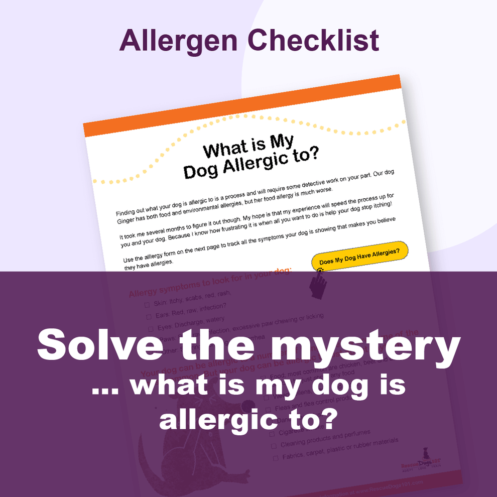 Image showcasing Dog Allergy Journal & Checklist Pack – Rescue Dogs 101