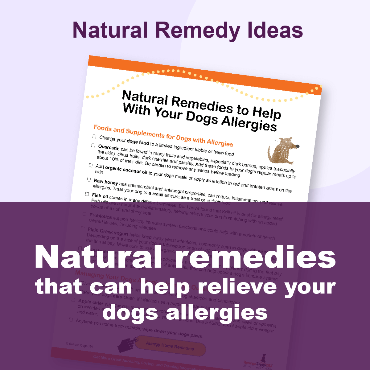 natural remedy ideas to help dog