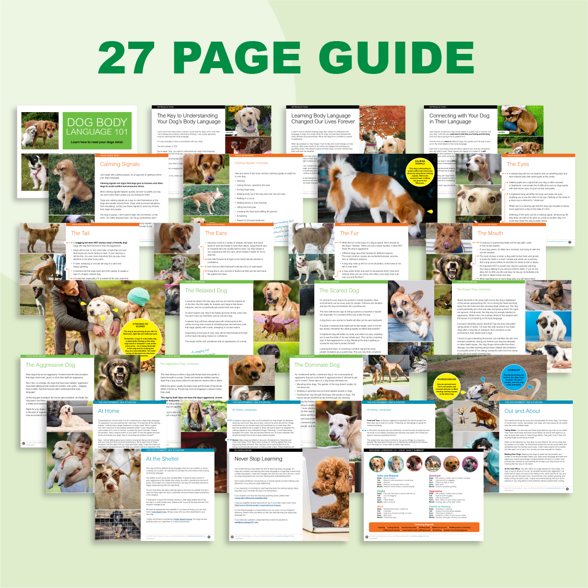 27 page, full color, dog body language guide