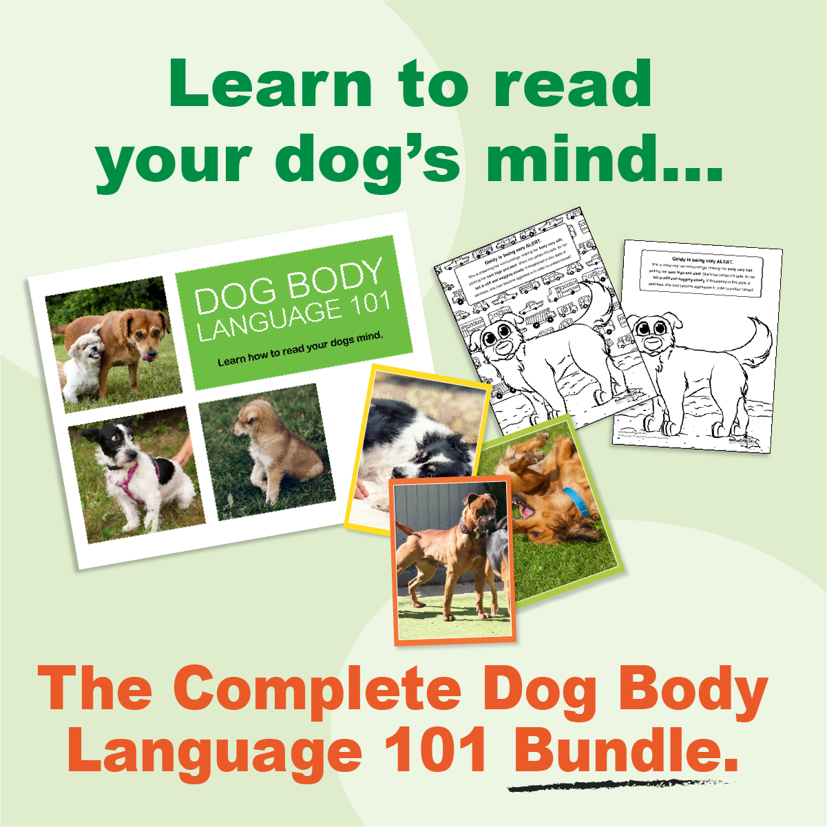 Learn to read your dog's mind... the complete dog body language 101 bundle