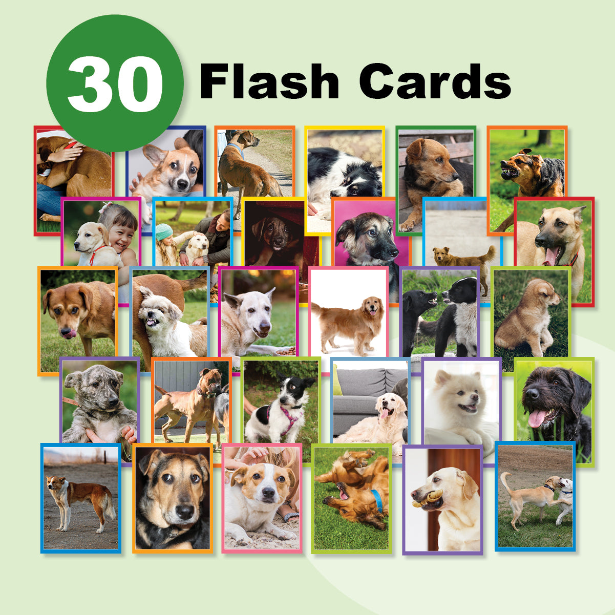 30 printable dog body language flash cards