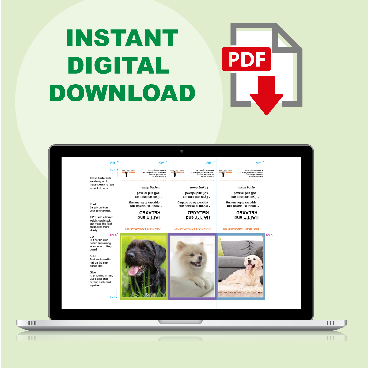 printable PDF dog body language flash cards