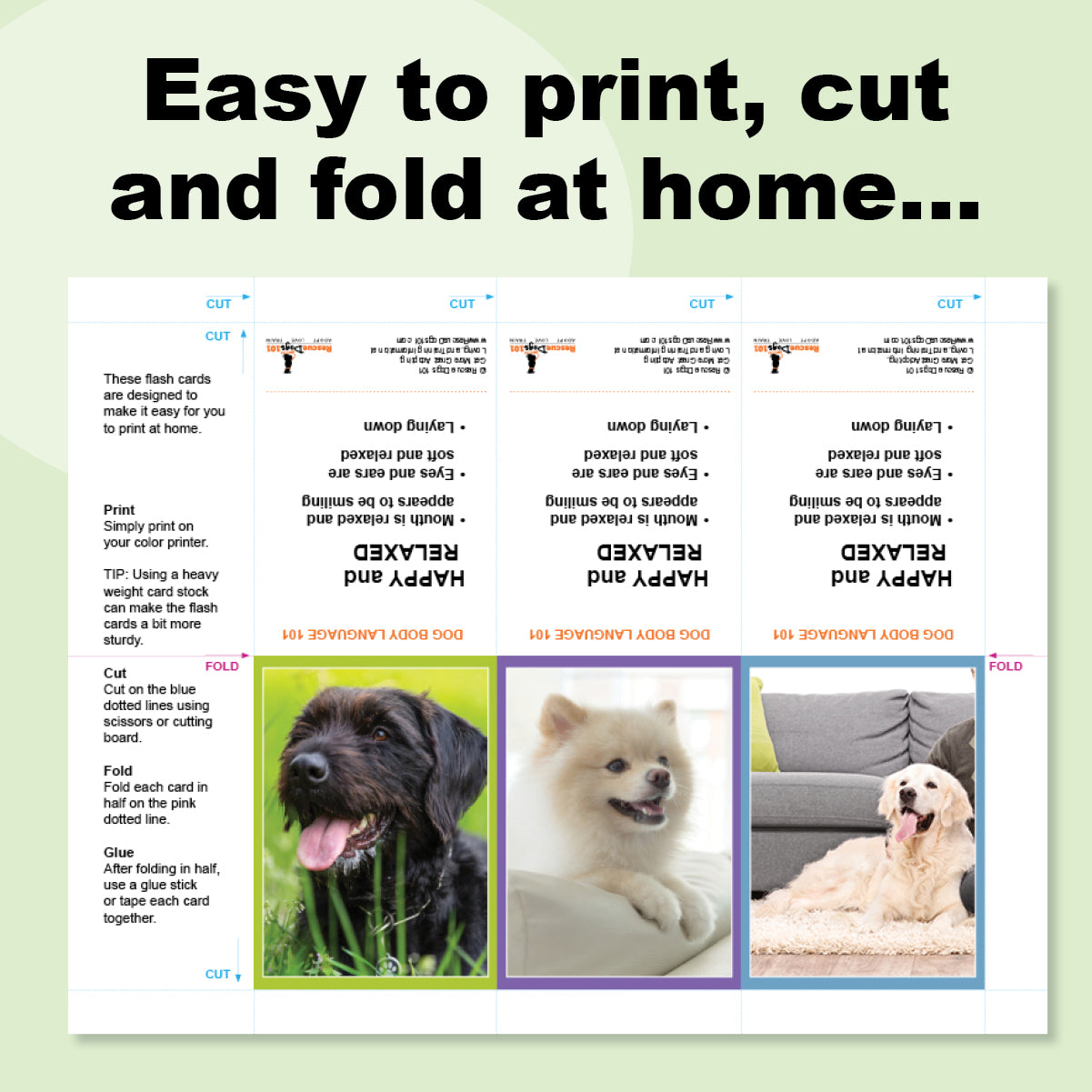 easy to print, cut and fold at home dog body language flash cards