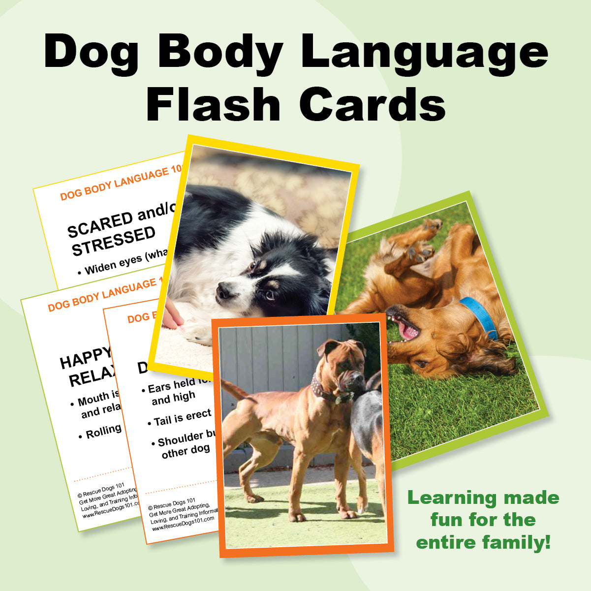 dog body language flash cards