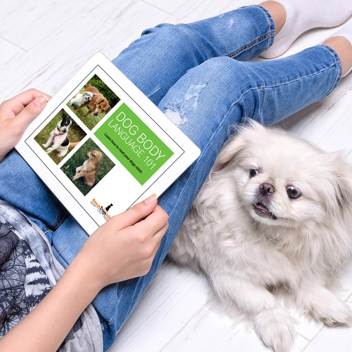 woman sitting on floor with dog reading dog body language book on tablet