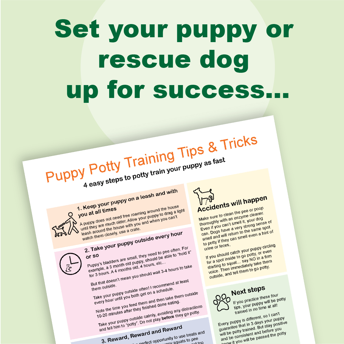 Puppy pad training tips clearance