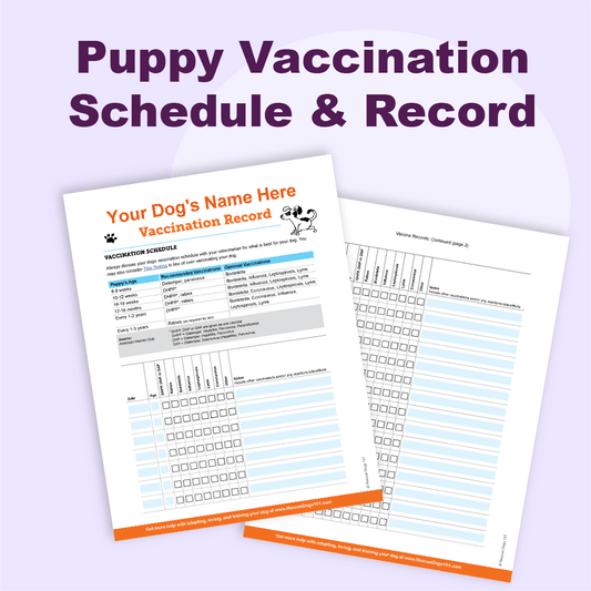 Puppy Vaccination Schedule & Record